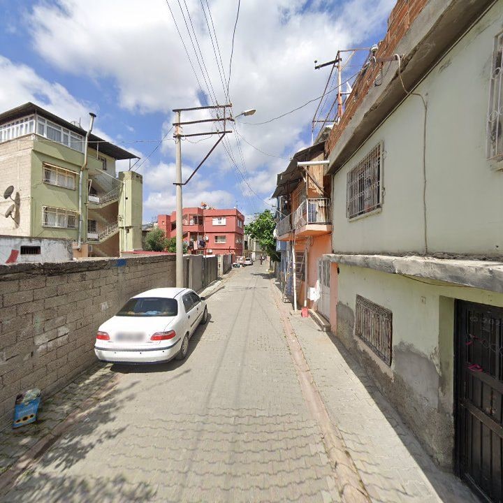 Fotoğraf 8