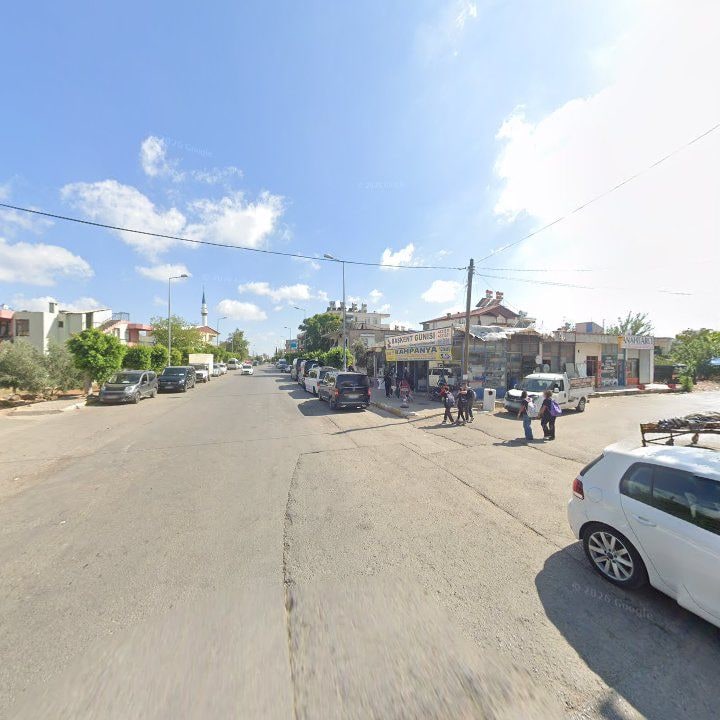 Fotoğraf 5