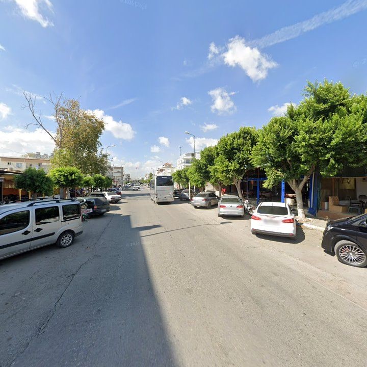 Fotoğraf 7