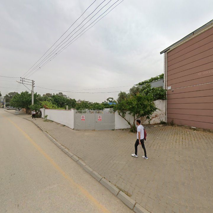 Fotoğraf 7