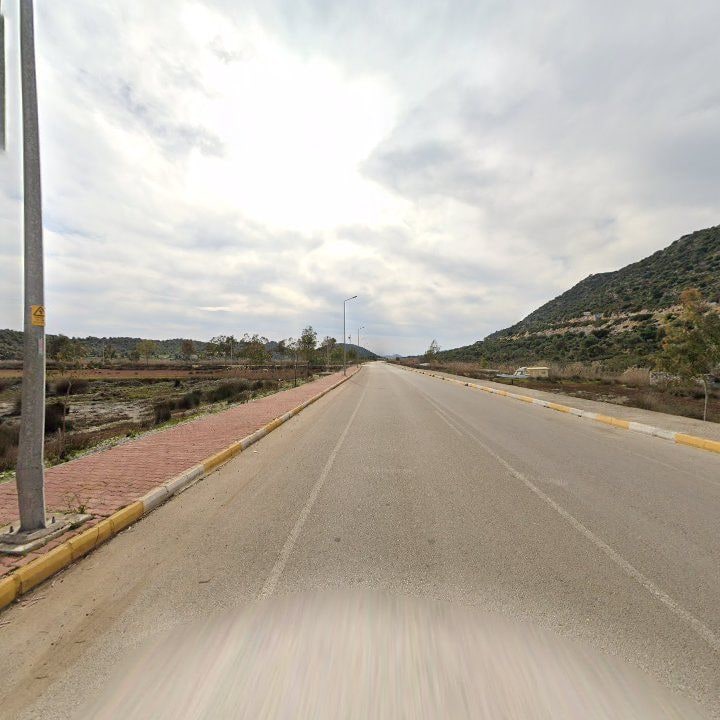 Fotoğraf 10