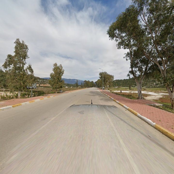 Fotoğraf 8