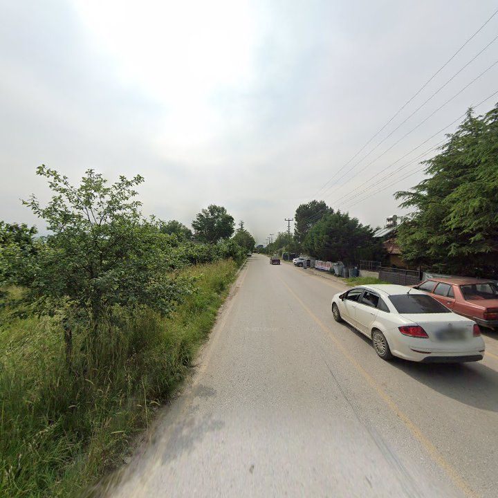 Fotoğraf 9