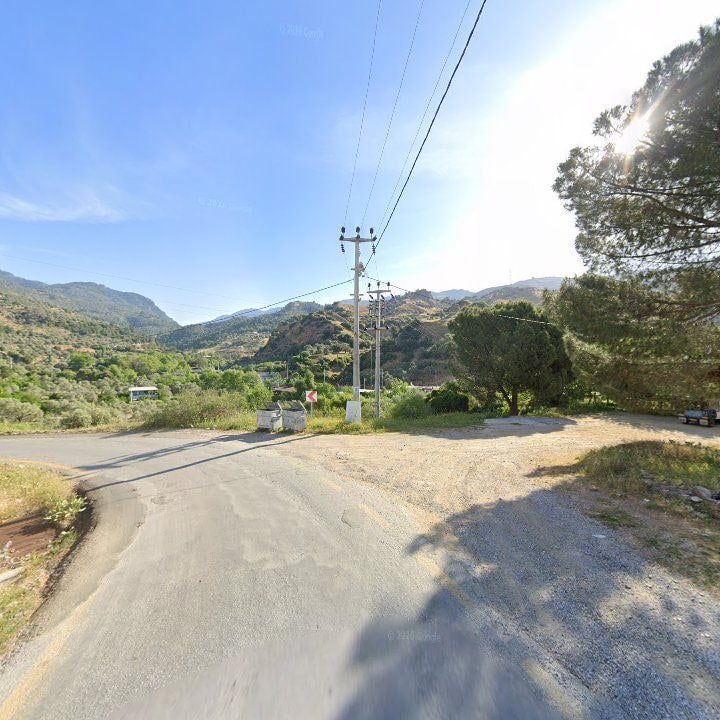 Fotoğraf 9