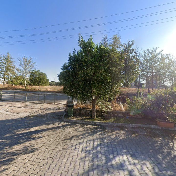 Fotoğraf 12