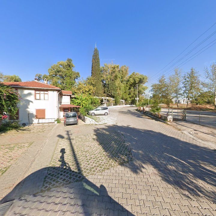 Fotoğraf 11