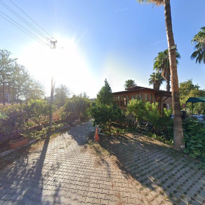Fotoğraf 13