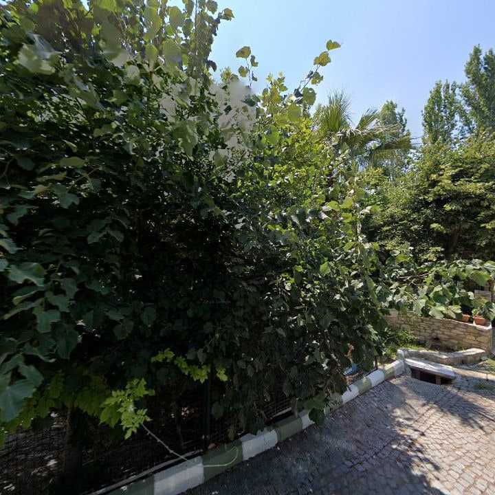 Fotoğraf 10