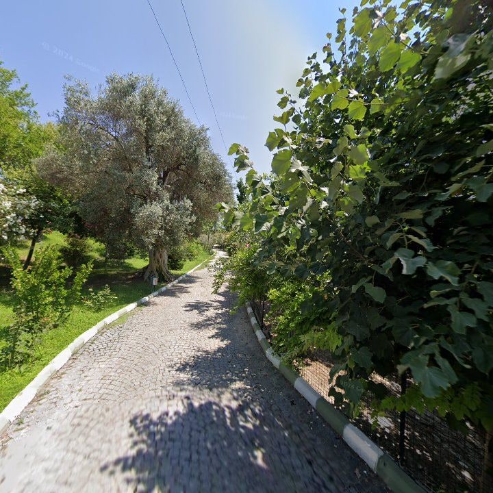 Fotoğraf 9