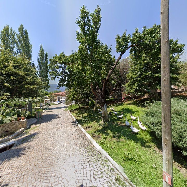 Fotoğraf 11