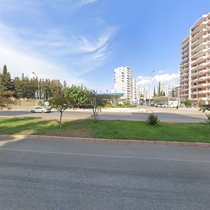 Fotoğraf 8