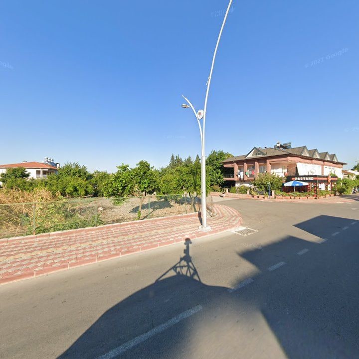 Fotoğraf 11