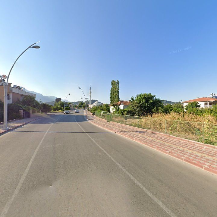 Fotoğraf 10