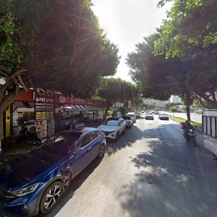 Fotoğraf 11