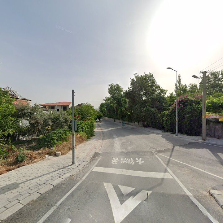 Fotoğraf 13
