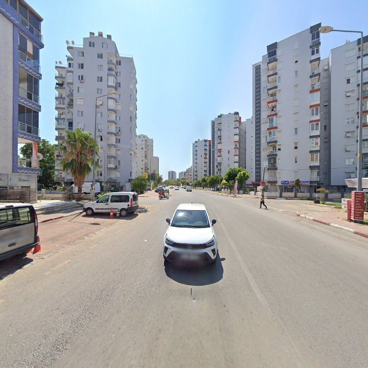 Fotoğraf 11