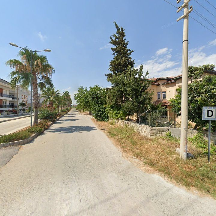 Fotoğraf 10
