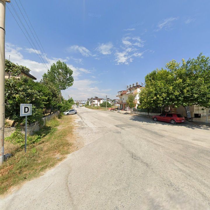 Fotoğraf 11