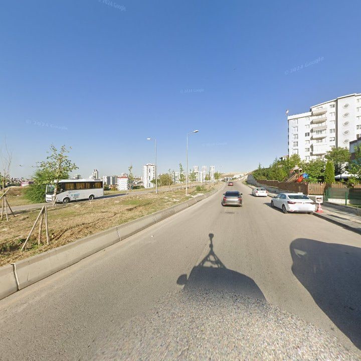 Fotoğraf 10