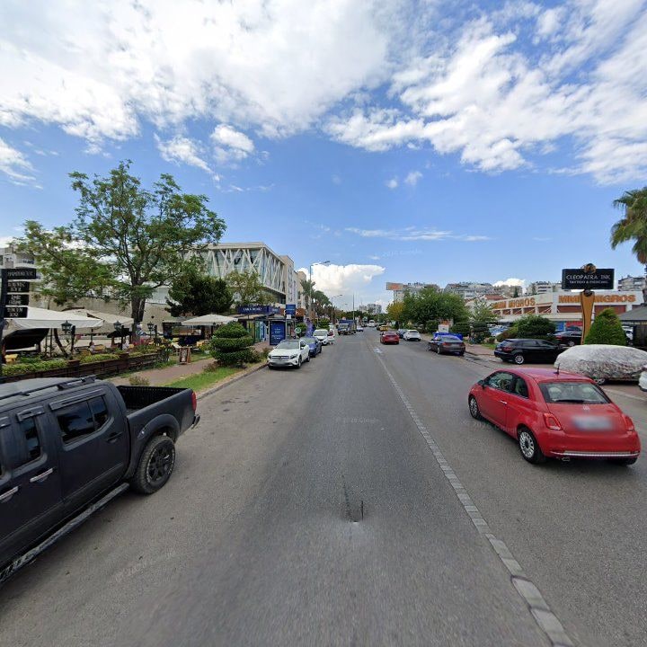 Fotoğraf 11