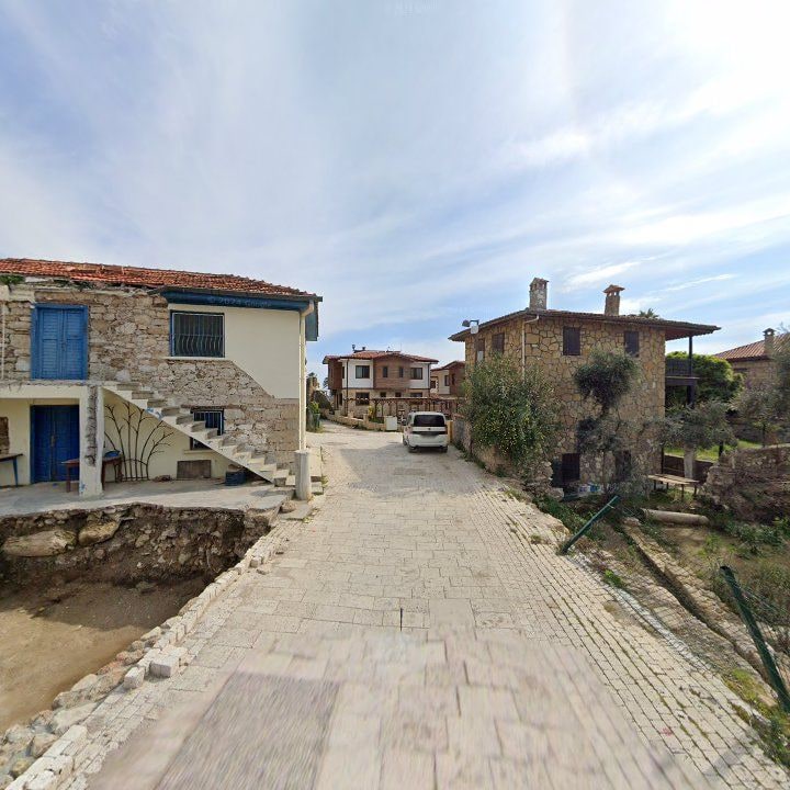Fotoğraf 7
