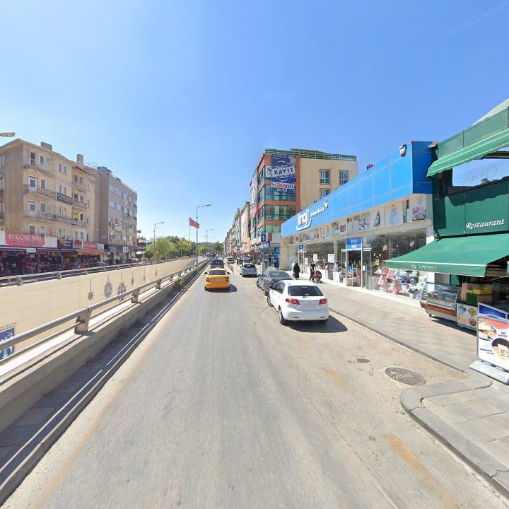Fotoğraf 6