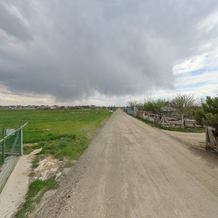 Fotoğraf 2