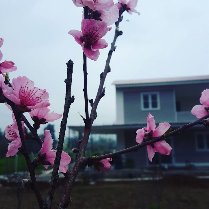 Demirbey Konağı
