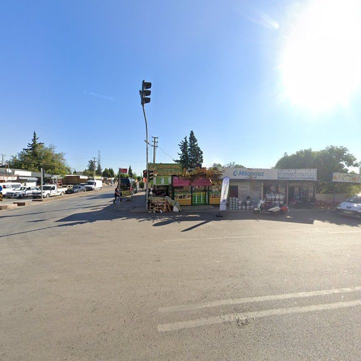 Fotoğraf 3