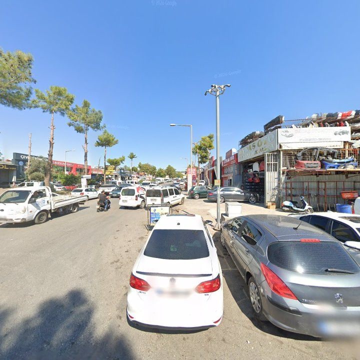 Fotoğraf 7