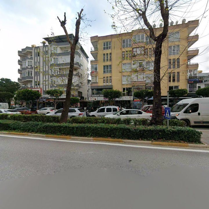 Fotoğraf 12