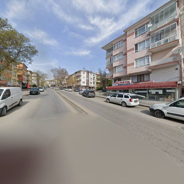 Fotoğraf 3