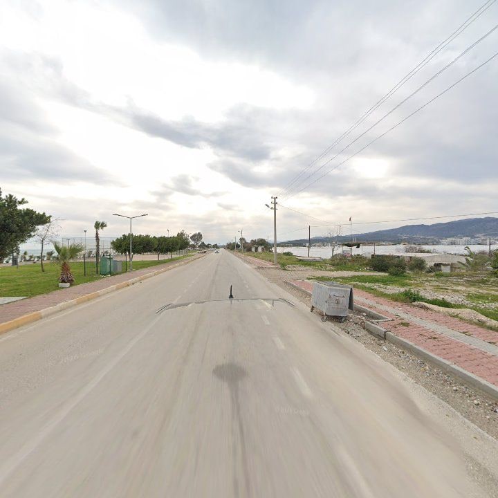 Fotoğraf 8