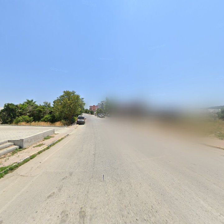 Fotoğraf 8