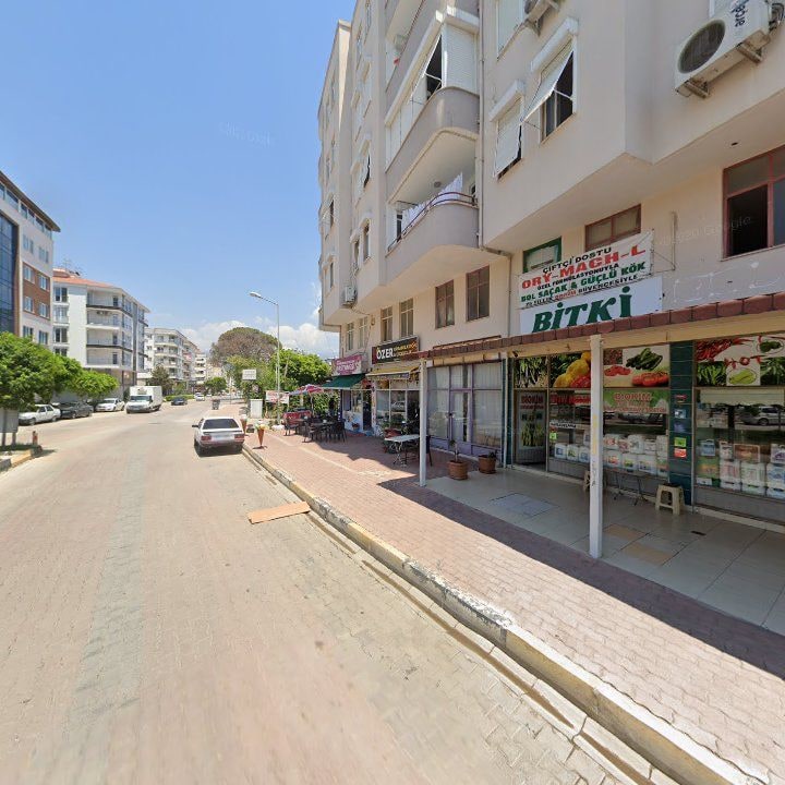 Fotoğraf 10