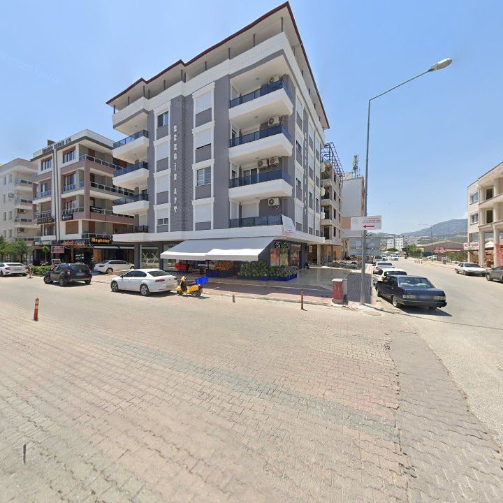Fotoğraf 13