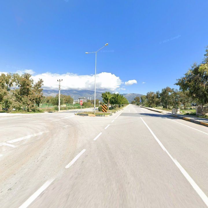 Fotoğraf 10