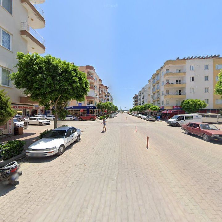 Fotoğraf 6