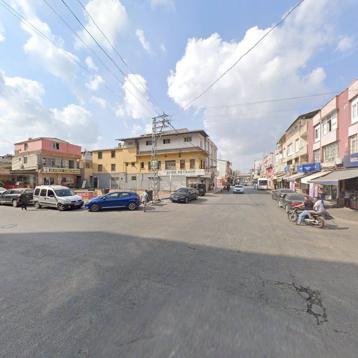 Fotoğraf 8