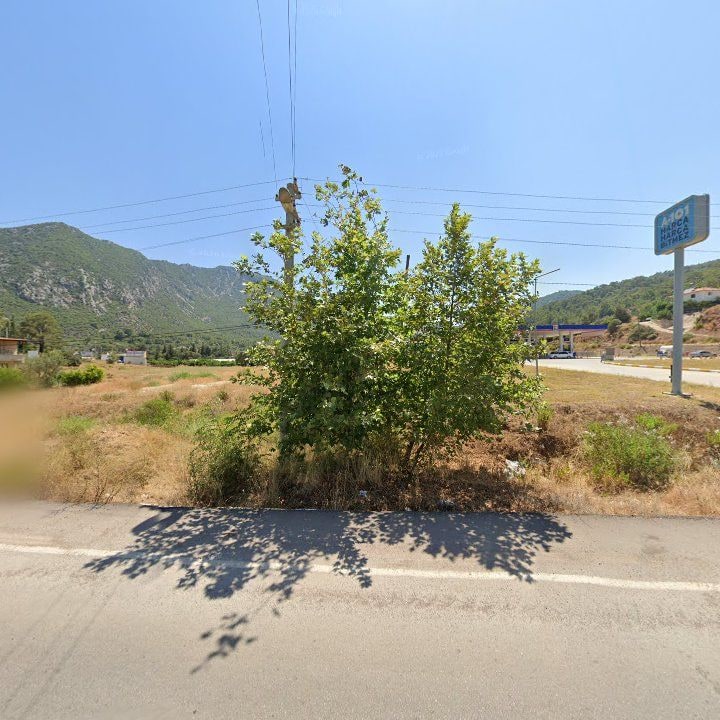 Fotoğraf 8