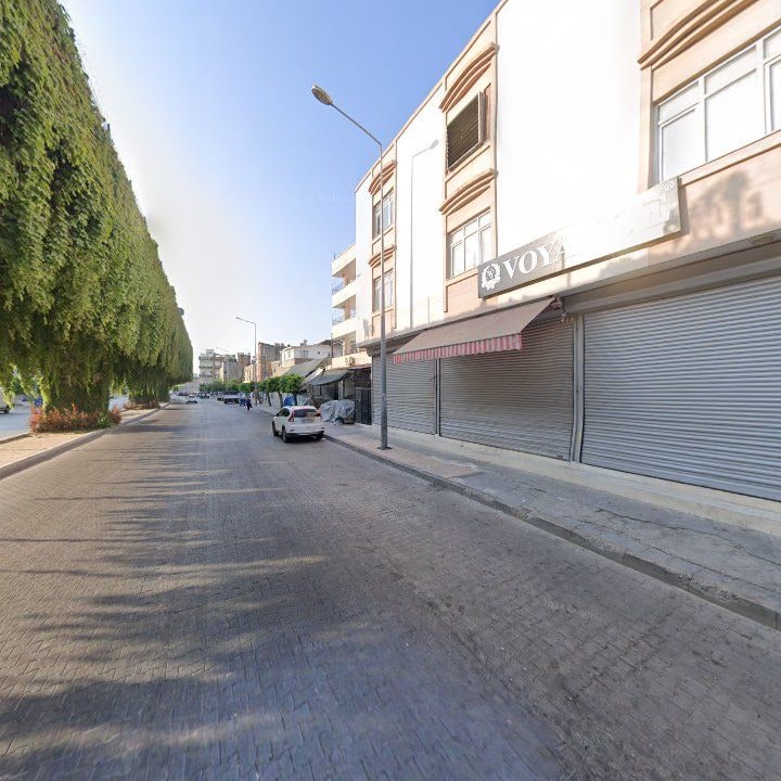 Fotoğraf 10