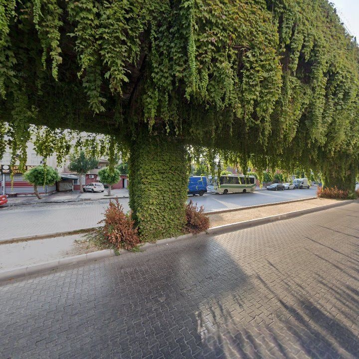Fotoğraf 9