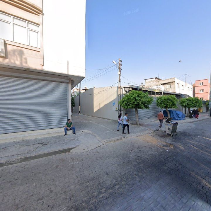 Fotoğraf 7