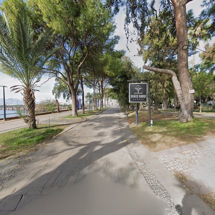 Fotoğraf 11