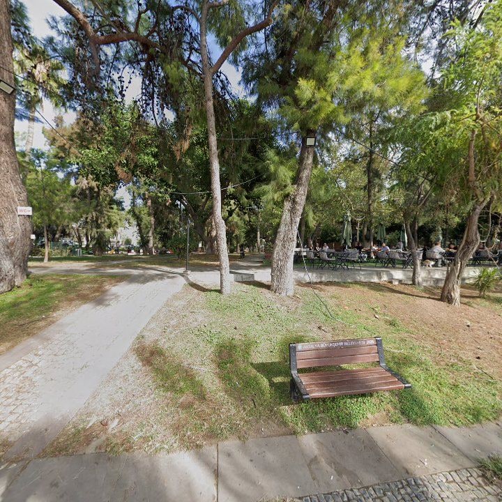 Fotoğraf 8