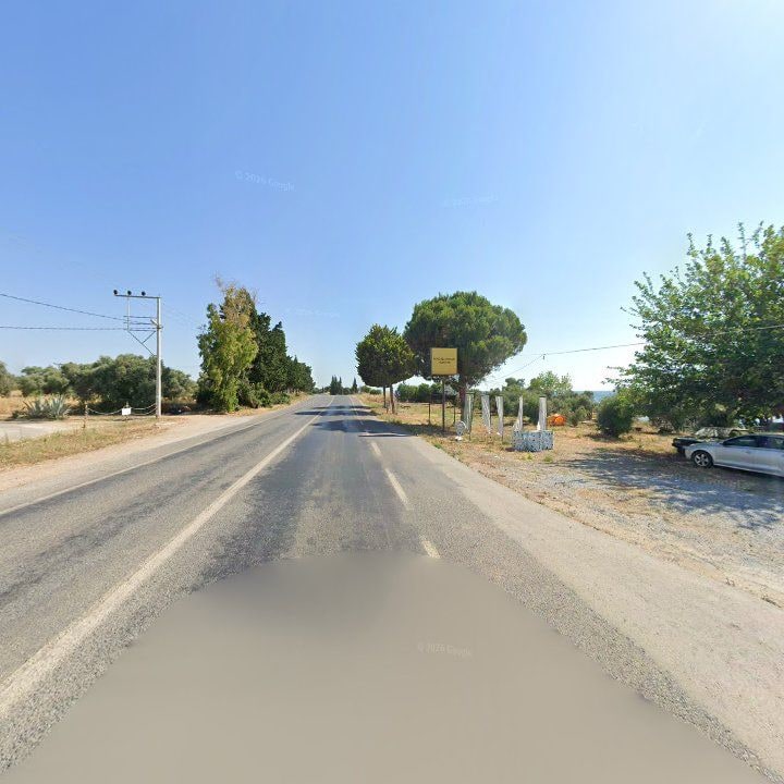 Fotoğraf 12