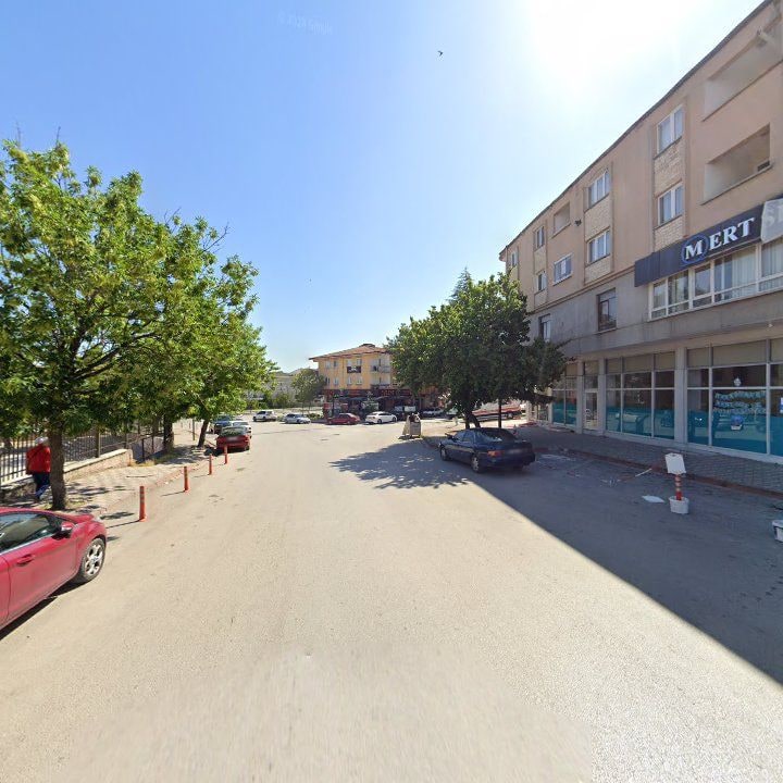 Fotoğraf 11