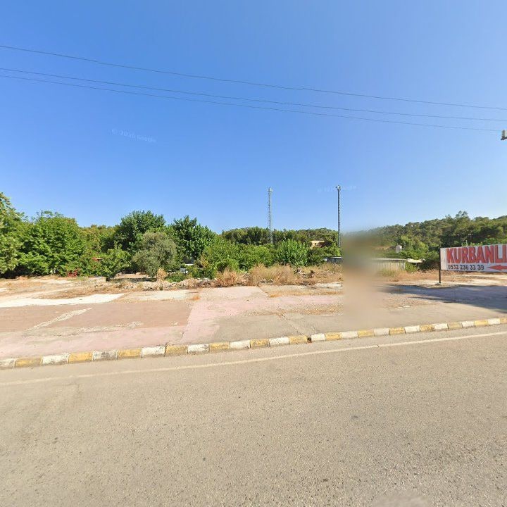Fotoğraf 13