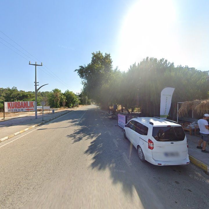 Fotoğraf 14