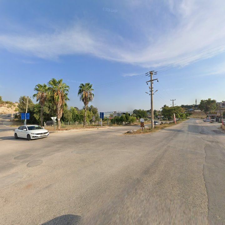 Fotoğraf 8